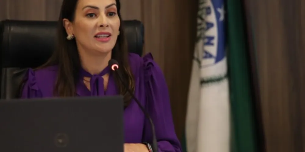 A deputada estadual Mabel Canto durante a sessão especial da CCJ.