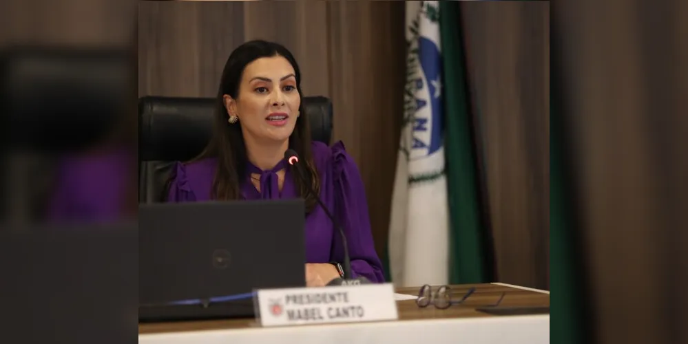 A deputada estadual Mabel Canto durante a sessão especial da CCJ.