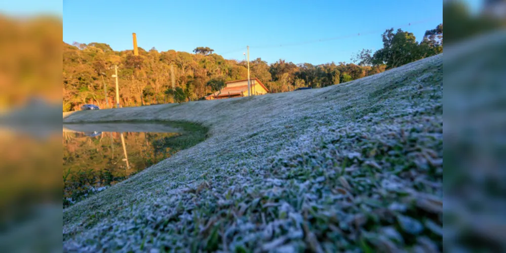 Serviço é prestado pelo IDR-Paraná e Simepar