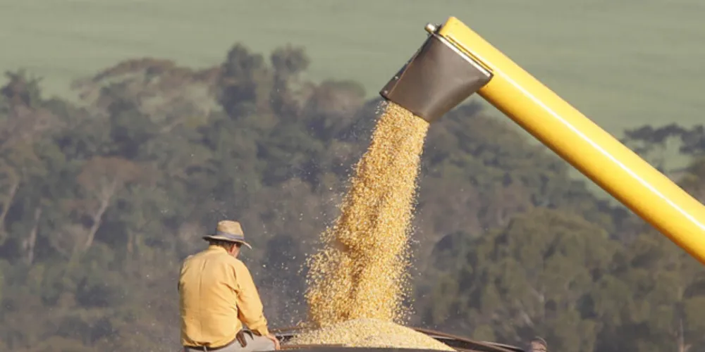 Somadas, a primeira e a segunda safras de milho podem render 18,2 milhões de toneladas do Paraná