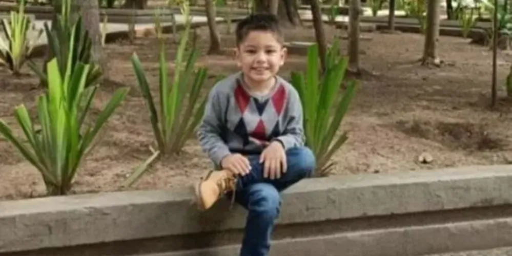 Enzo foi adotado há um ano e ganhou bolo para celebrar a data em dezembro passado