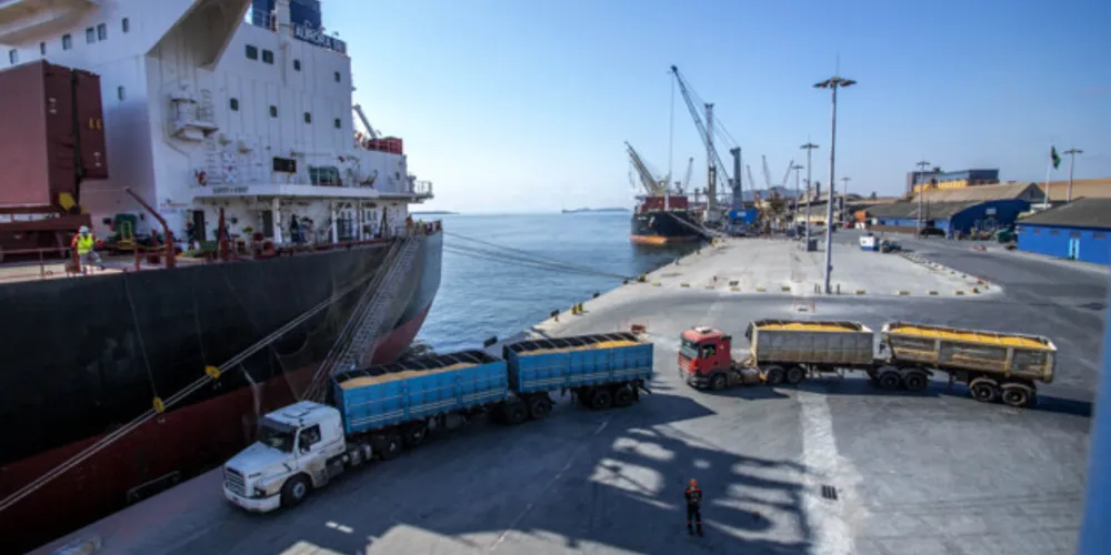 Produção estadual vendida ao exterior gerou US$ 528,3 milhões a mais de receita nos três primeiros meses de 2023 em relação ao mesmo período do ano passado.