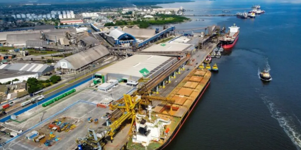 Estrutura abrange uma área de 27.530 m² e pode armazenar um milhão de toneladas de celulose e papel por ano