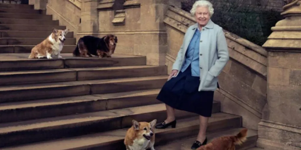 Os cães também sentiram a perda da monarca