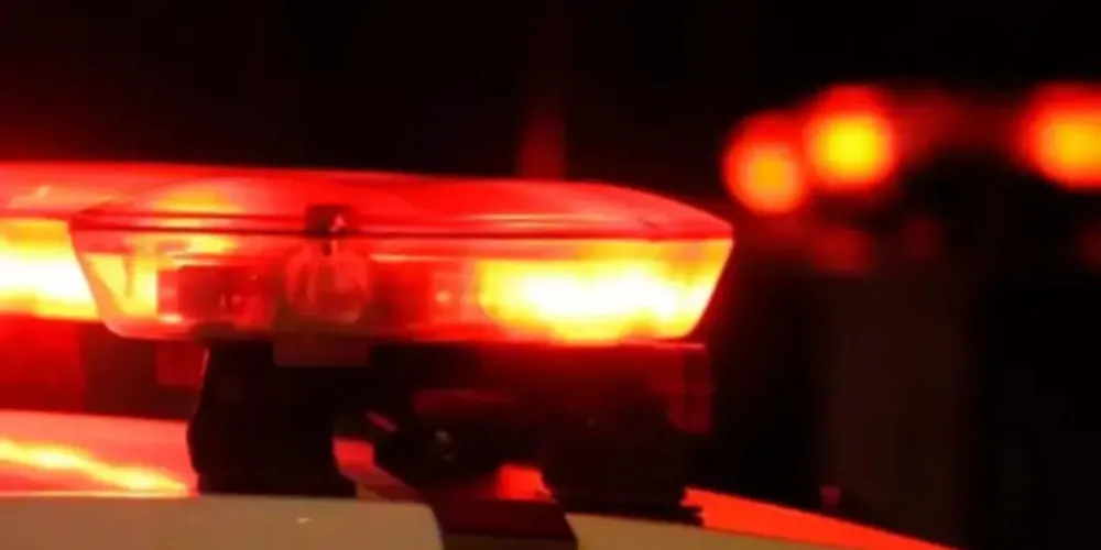 Durante a luta, a mulher acabou pegando uma faca para se defender. No entanto, não houve feridos