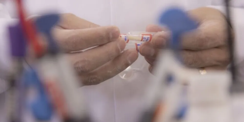 O mapeamento se baseia em citações encontradas em fontes de dados, como OpenAlex e CrossRef