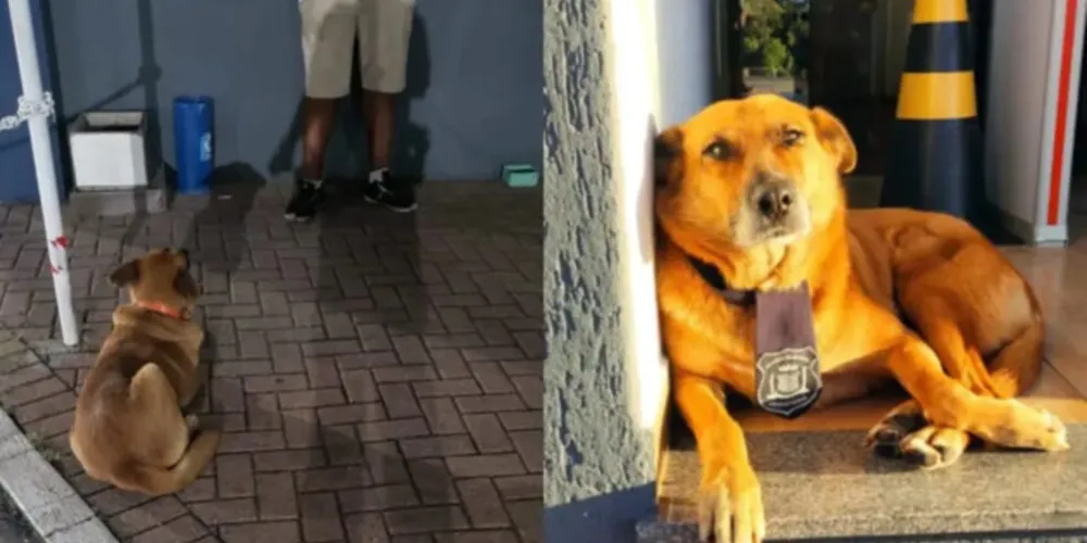 Xuxa é a mascote da Guarda Municipal de Araucária