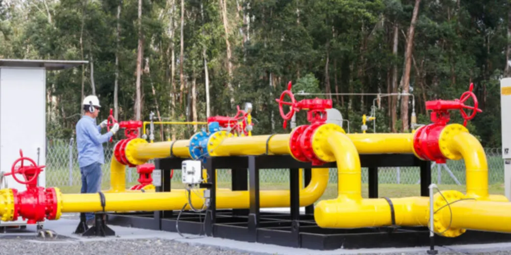 Os mais de 53 mil clientes consomem diariamente cerca de 1 milhão de metros cúbicos de gás natural