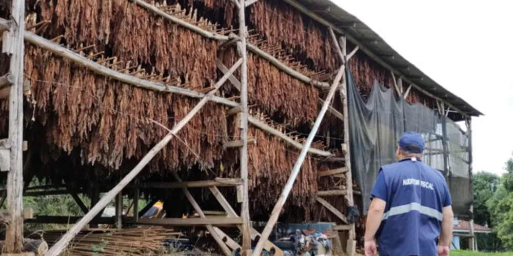 Receita Estadual encontrou produção irregular na região de Guarapuava