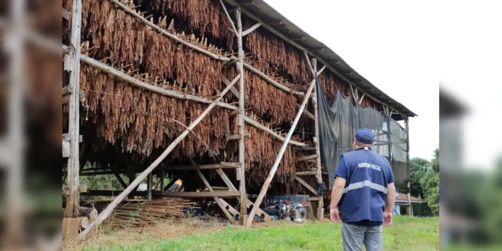 Receita Estadual encontrou produção irregular na região de Guarapuava