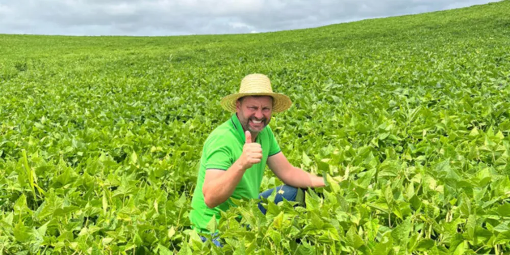Programa do IDR-PR é referência no desenvolvimento de cultivares do grão, permitindo agricultura mais sustentável, com a produção de alimentos mais baratos e seguros para a sociedade.