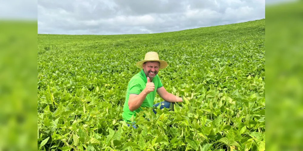 Programa do IDR-PR é referência no desenvolvimento de cultivares do grão, permitindo agricultura mais sustentável, com a produção de alimentos mais baratos e seguros para a sociedade.