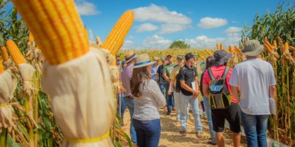 Objetivo do projeto é continuar ofertando mais edições do evento, duas vezes ao ano, com culturas agrícolas de inverno e de verão