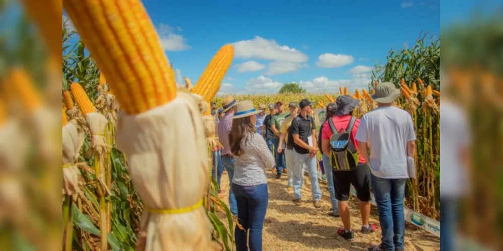 Objetivo do projeto é continuar ofertando mais edições do evento, duas vezes ao ano, com culturas agrícolas de inverno e de verão