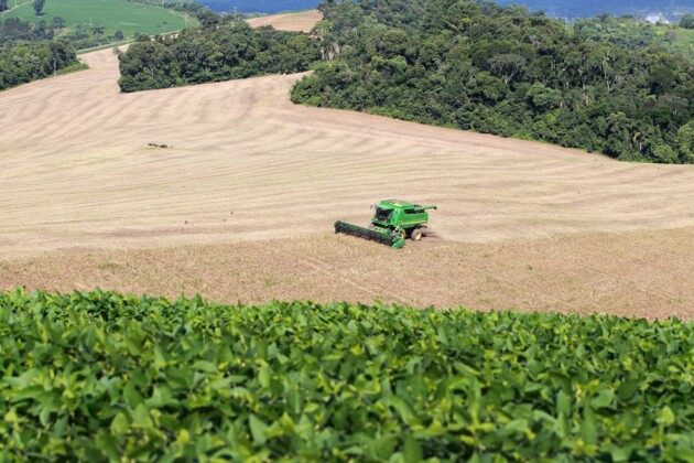 A estimativa indica um aumento de 5,5% em relação à colheita registrada em 2022.