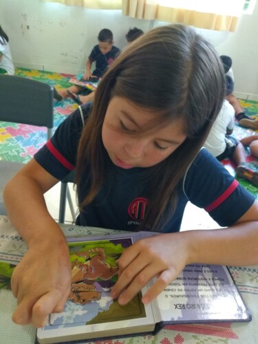 As atividades de leitura tem acontecido nos mais variados espaços da escola