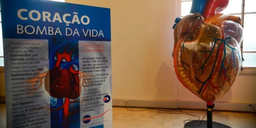 Entre os homens, a média mensal passou de 5.282 para 13.645, alta de 158%