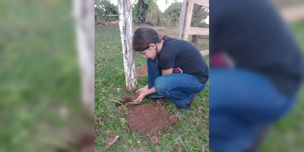 Plantio de espécies frutíferas e não frutíferas foi um dos pontos altos da dinâmica