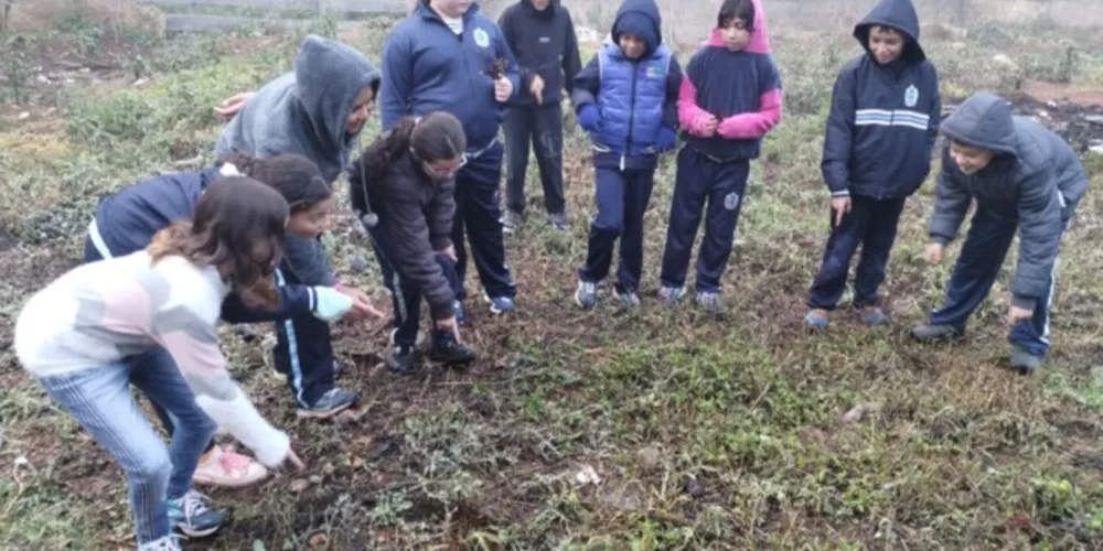 Nos arredores da escola, turma pôde 'investigar' e analisar características da época mais fria do ano