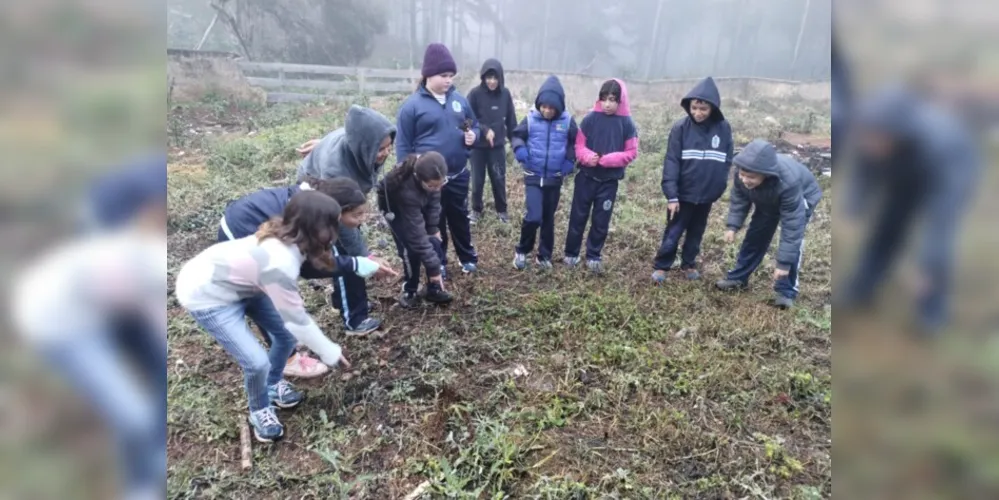 Nos arredores da escola, turma pôde 'investigar' e analisar características da época mais fria do ano