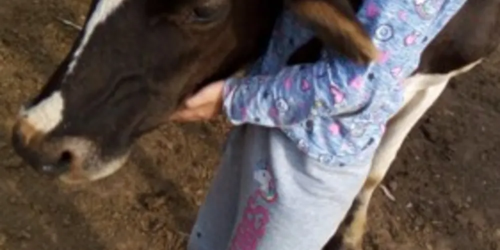 Educandos registraram em vídeos um pouco do seu contato a produção leiteira