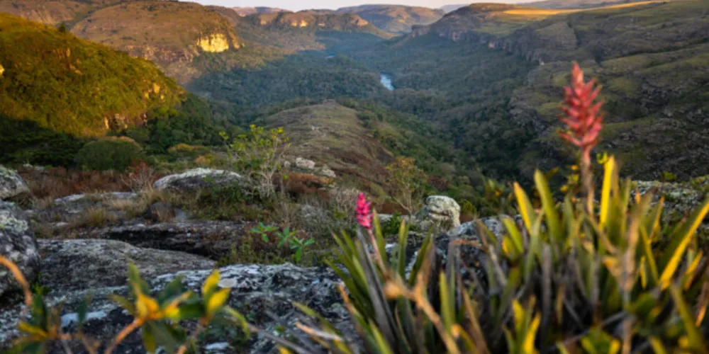 Os dados são do Instituto Água e Terra (IAT)