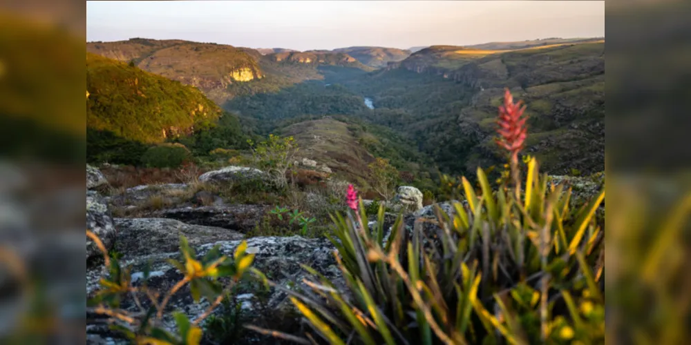 Os dados são do Instituto Água e Terra (IAT)