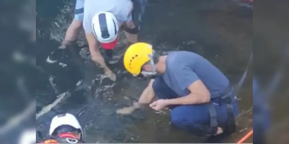 A limpeza do Rio Iguaçu, iniciada às 8h, dá início à Semana do Meio Ambiente