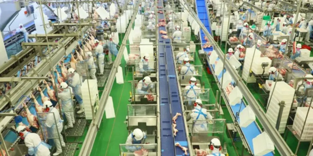 Frigorífico de suínos foi inaugurado em Castro em 2015