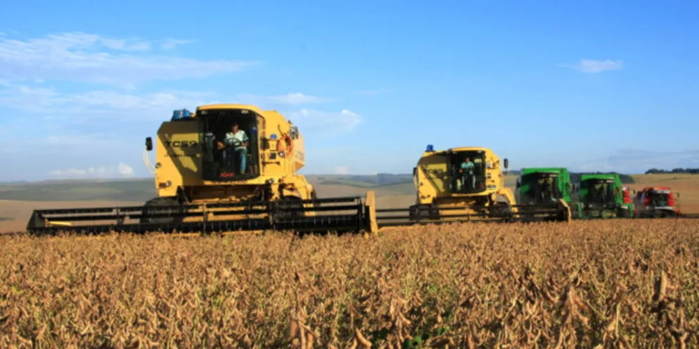 A soja é o produto que gera o maior VBP para a maioria dos municípios da região dos Campos Gerais