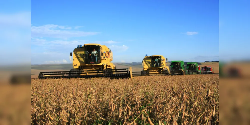 A soja é o produto que gera o maior VBP para a maioria dos municípios da região dos Campos Gerais