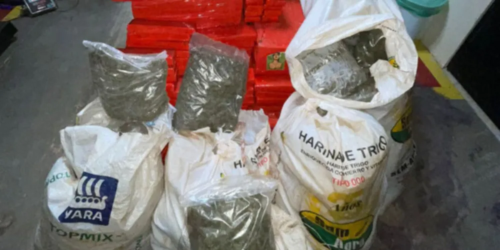 Equipes policias apreendem mais de meia tonelada de drogas no PR