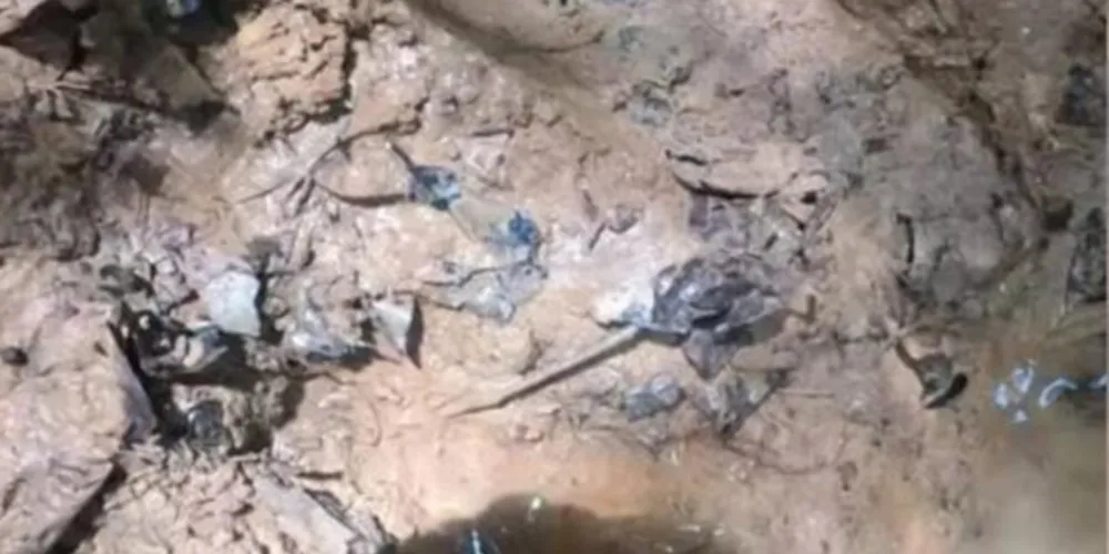 Colômbia encontra pegadas de crianças desaparecidas na Amazônia