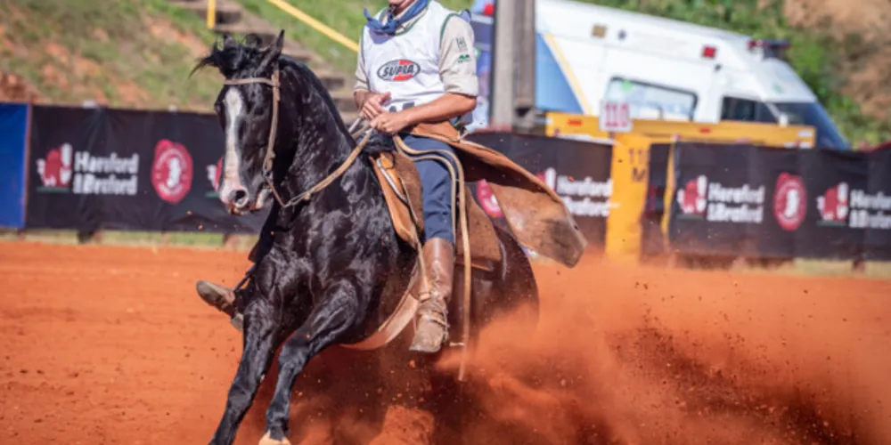'Entrevero' (foto) foi o campeão da classificatória entre os machos