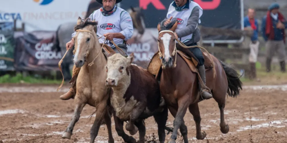 Toda a etapa poderá ser conferida ao vivo todos os dias pelo canal do YouTube Cavalo Crioulo Oficial