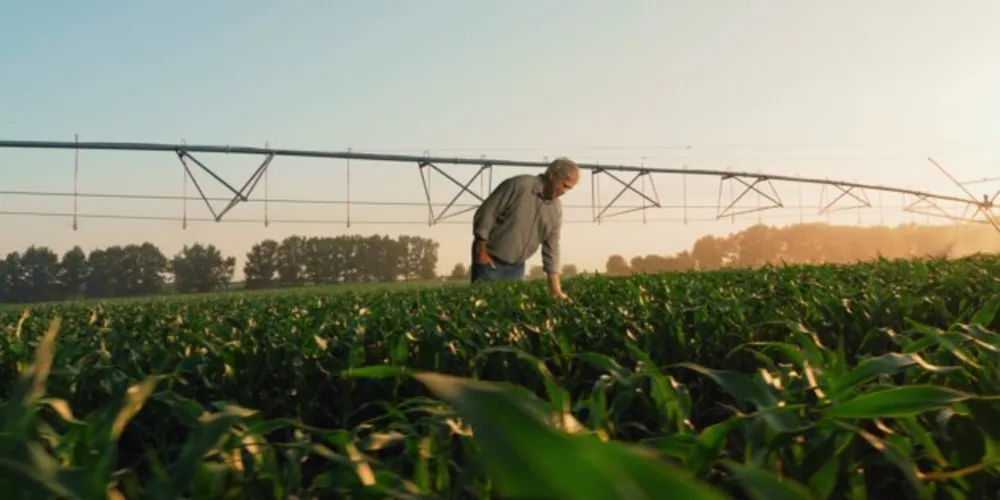 No ano-safra 2022/2023, o Sicredi liberou um volume recorde aos produtores