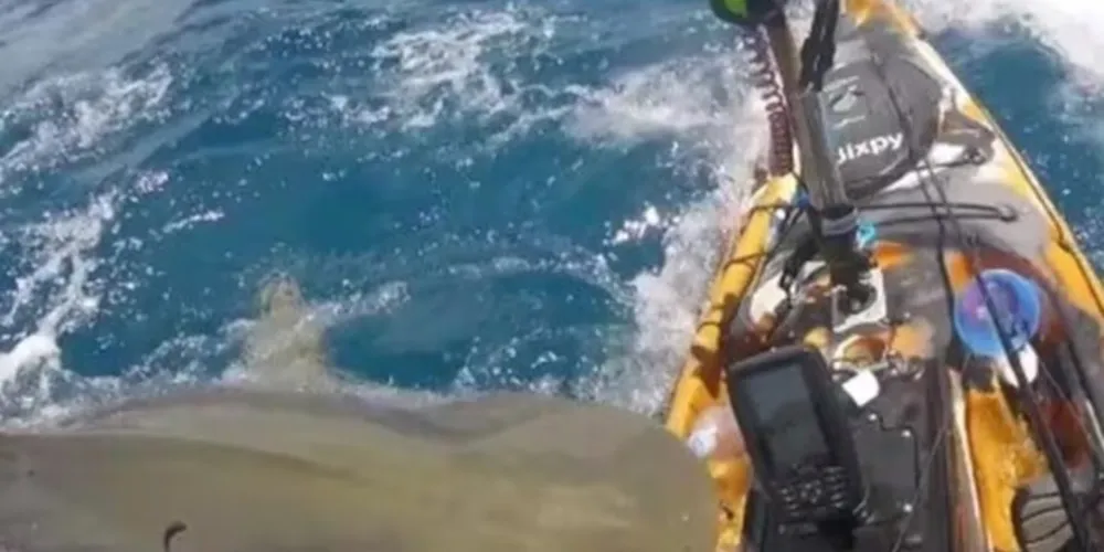 Toda a ação foi flagrada pela câmera GoPro, que presa na cabeça do homem