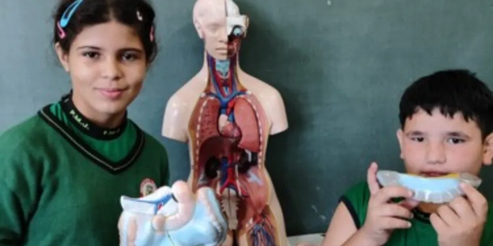 Recursos práticos e concretos contribuíram com trabalho