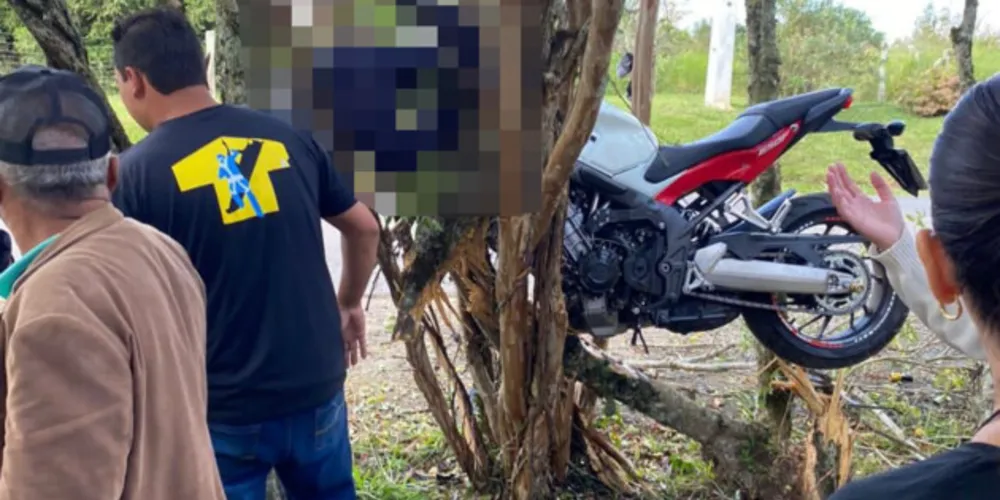 Motociclista ficou 'pendurado' nos galhos da árvore, assim como a sua motocicleta, uma Honda CBR 650F