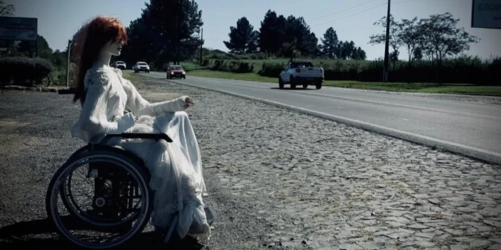 Ação é fruto da criatividade dos proprietários do estabelecimento conhecido como ‘A Carroça’, que fica situado na Colônia Benfica, em Palmeira