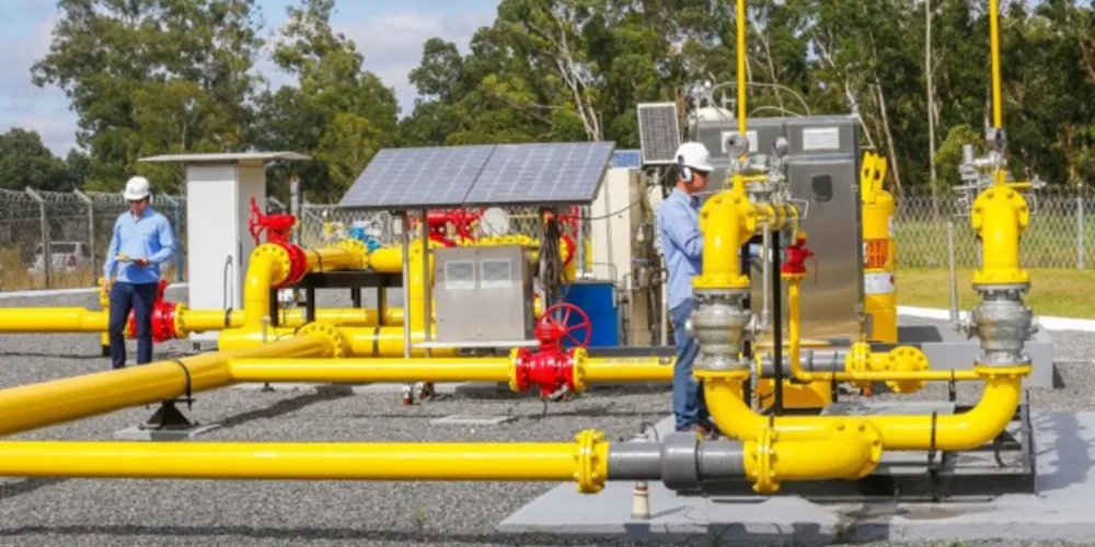 Ao todo, 11 supridores participam do processo