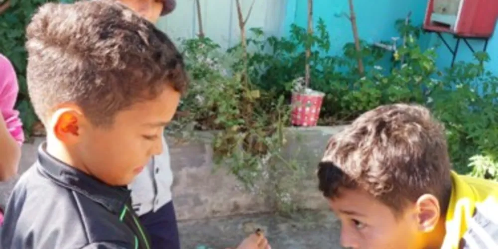 Um dos momentos mais empolgantes durante as atividades foi a visita que a turma realizou a um criador informal de abelhas