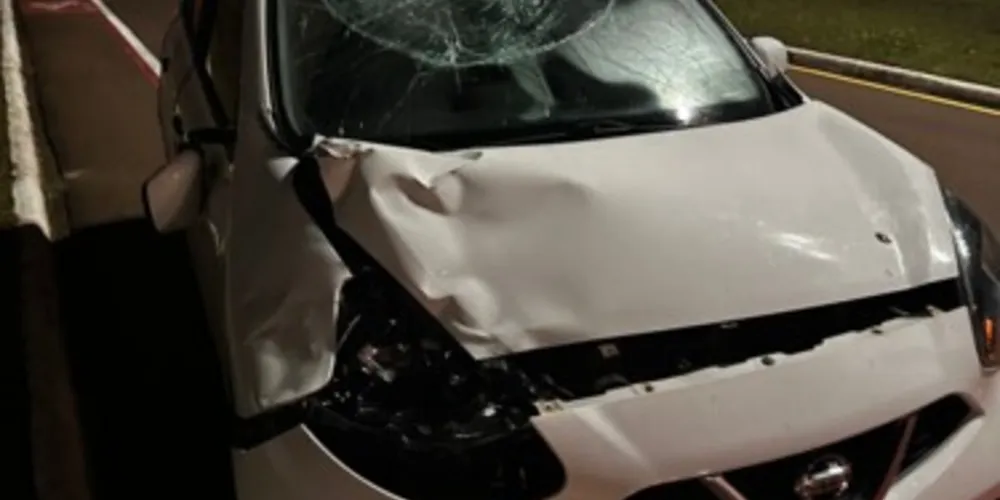 Colisão com o animal aconteceu por volta das 20h de sexta-feira (2); Com pata quebrada e sangramentos, égua precisou ser sacrificada