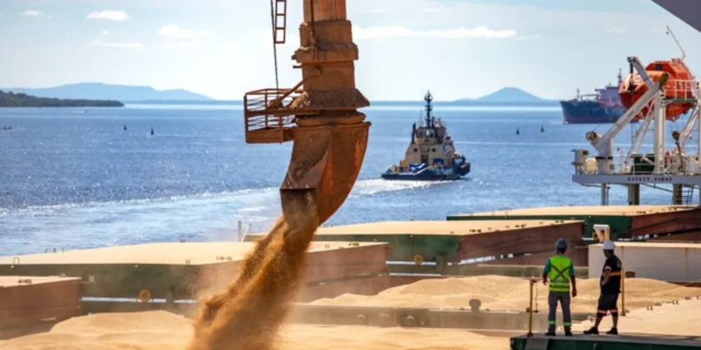 Região foi responsável por quase 600 mil toneladas exportadas neste primeiro quadrimestre