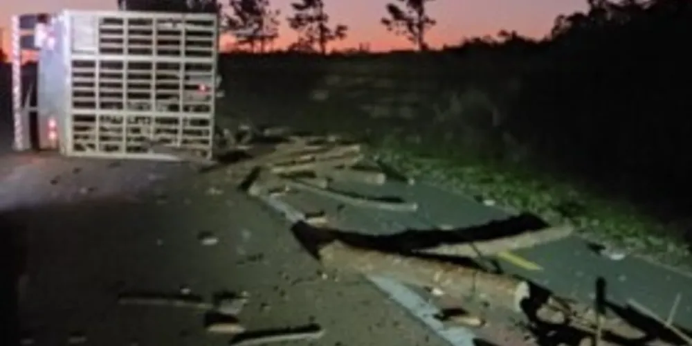 Apesar do susto, o motorista não se feriu