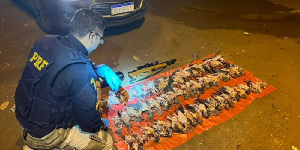 Apreensão foi na BR-163 no município de Planalto