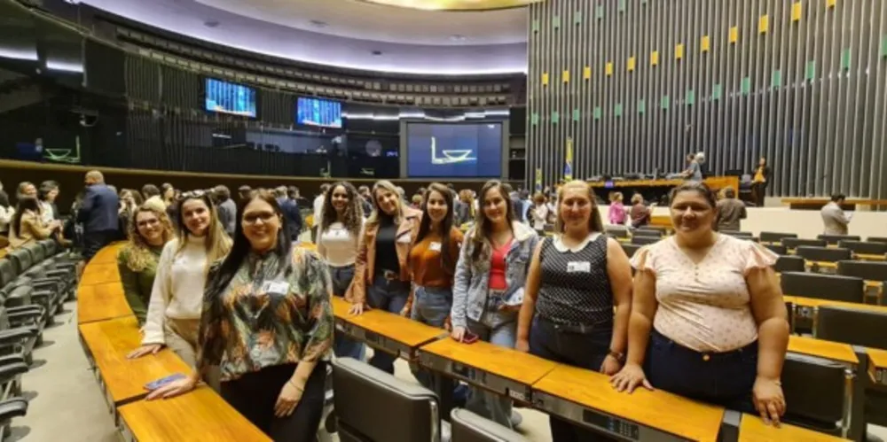 Representantes do setor estiveram em Brasília recentemente