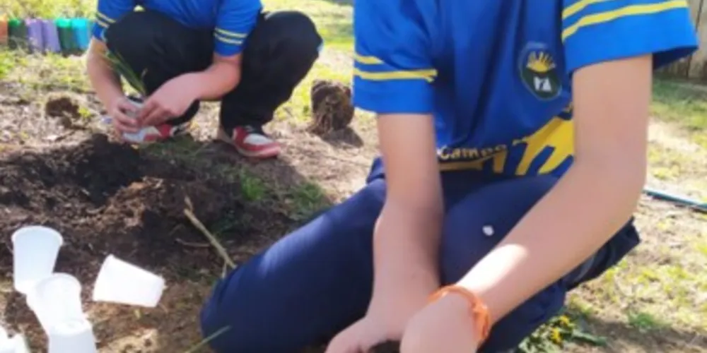 Os alunos realizam o plantio e venda dos alimentos, trabalhando conceitos de sustentabilidade e educação financeira