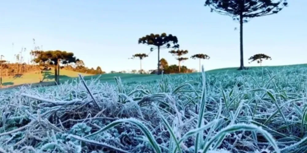 Em Ponta Grossa, a mínima esperada para este sábado é de 5°C.
