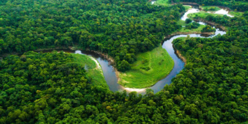 Produção detalha a formação e todas as características do bioma amazônico